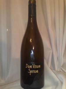 DumVinumSperum2006