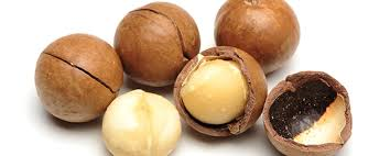 macadamia